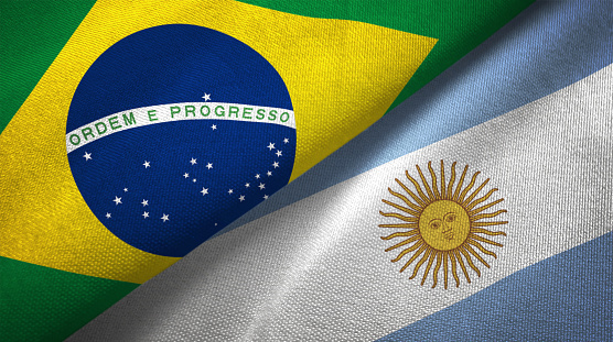 La Moneda común entre Argentina y Brasil es una locura dice el ex economista del fondo